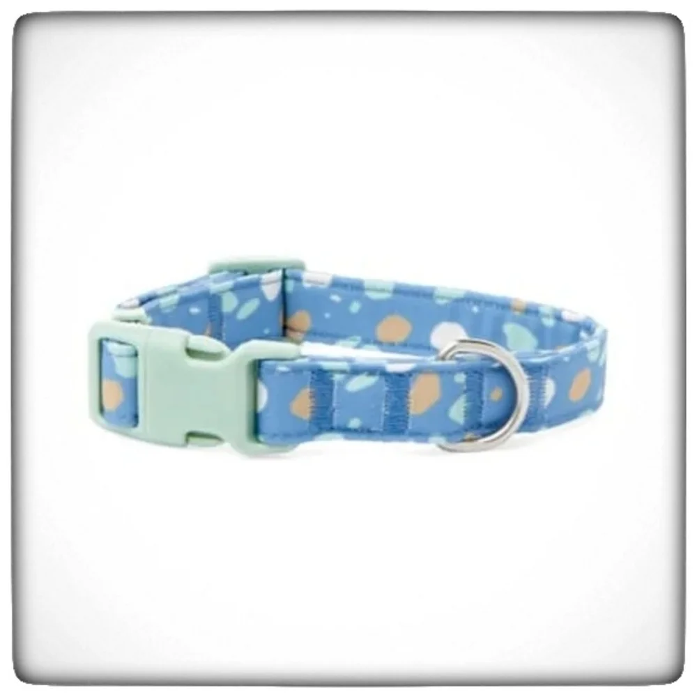 YOULY The Artist Blue & Multicolor Paint Splatter Dog Collar-L